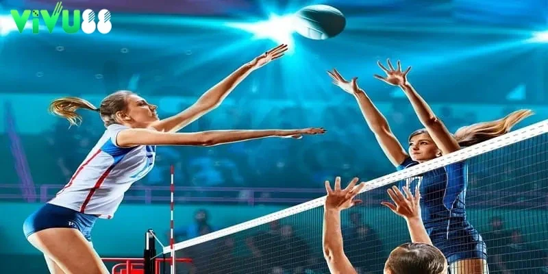 Cách tham gia chơi cá độ bóng chuyền