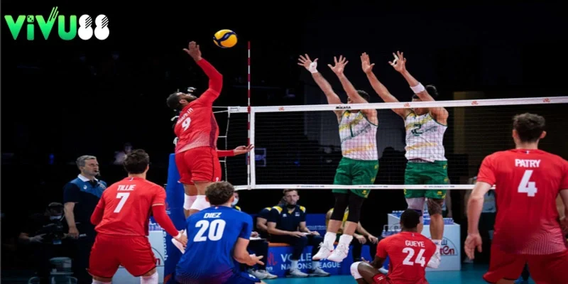 Hướng dẫn cách chơi cá độ bóng chuyền