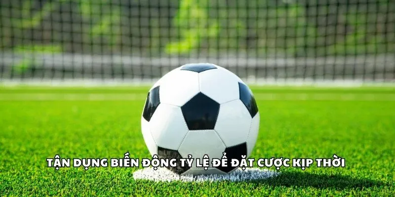 Tận dụng biến động tỷ lệ để đặt cược kịp thời